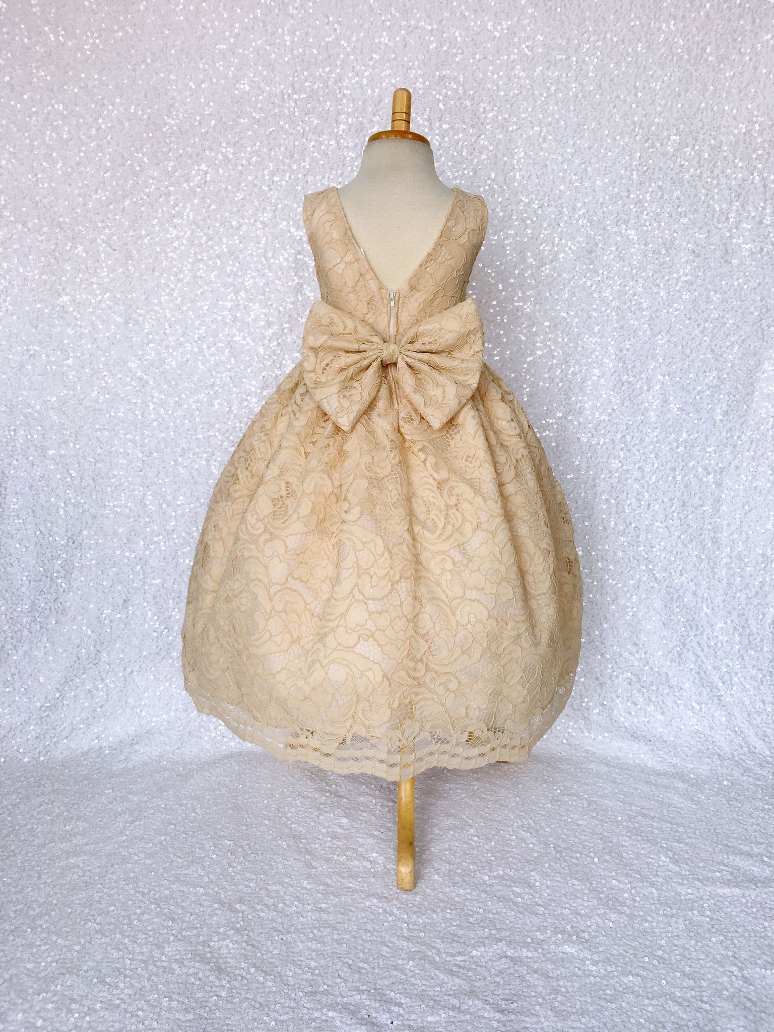 Aqua Blue V-Back Sleeveless French Lace Gown Bow