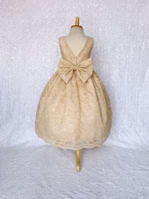Aqua Blue V-Back Sleeveless French Lace Gown Bow