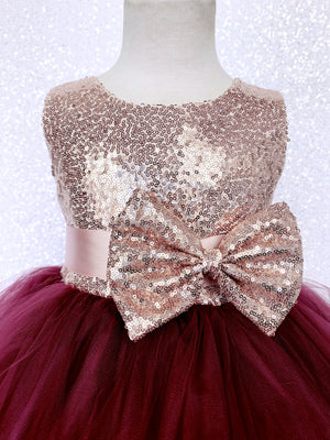 Sleeveless Blush Mini Sequin Rose Gold Burgundy 2 Layer Tulle Dress