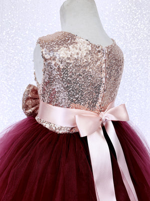 Sleeveless Blush Mini Sequin Rose Gold Burgundy 2 Layer Tulle Dress
