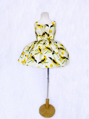 Spring Yellow Bird Knee Length Sleeveless Gown